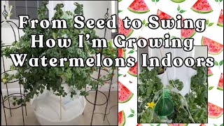Watermelon Tower Garden Trellis Upgrade + DIY Fruit Hammocks for Better Growth #hydroponicgardening
