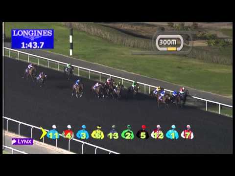 31.01.2013 Meydan (Dubai-UAE) 2.Race DUBAL Potlines Trophy - 1.900 m