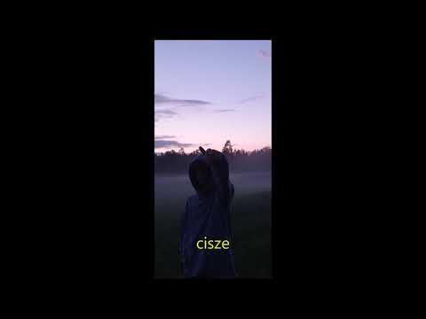 huczi - sally