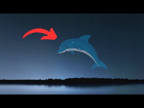 Delphinus Constellation History: Discover the Fascinating Stories.