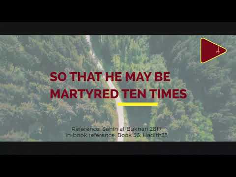 MUJAHID, Nobody who enters Paradise likes to go back to the world except a Mujahid