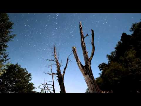 enzo avitabile feat. pino daniele "è ancora tiempo"