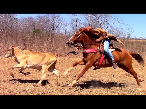 PARQUE BOM RETIRO 2025 em Pedro Laurentino-PI 