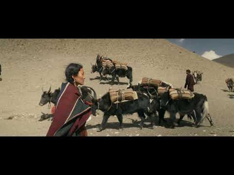 trailer