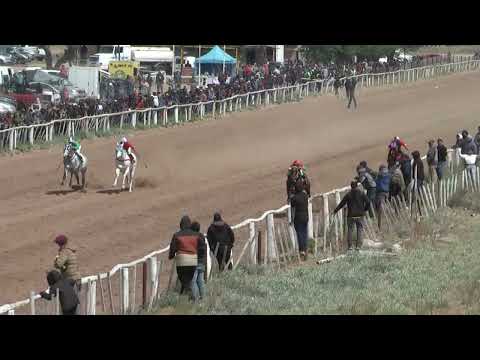 MOHICANO  Club Hipico "Viento Sur"  - Cutral Co   30-10-2022