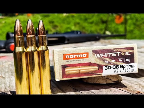 Norma Whitetail 30-06 | 100 Yard Group Test