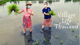 Real Village Life Experience in Suphanburi Province of Thailand