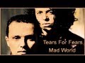 Tears For Fears - Mad World (Synth & Vocal Cover ...