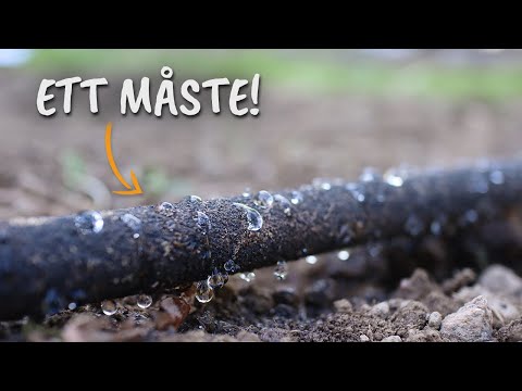 Räddad av fuktslang + säsongen är igång!