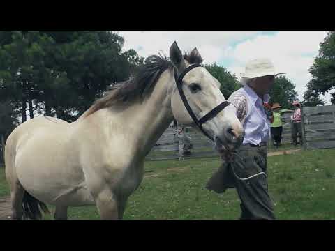 OFICIOS DE MUJER RURAL Trailer