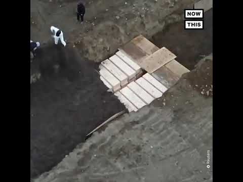 NYC workers are burying pigs in a mass grave on Hart Island