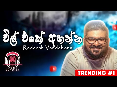 Cover Songs Sinhala | Top 10 Unity Band Live Performances | ManoParak (මනෝ පාරක්) Radeesh Vandebona