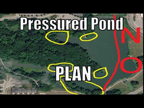 Stop Fishing the Obvious Spots (Pressured Public Pond Breakdown)
