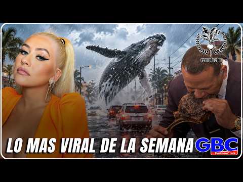 Por si te perdiste las más vistas de la semana