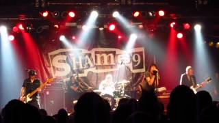 Sham 69 - Money (Punk And Disorderly 2014 Berlin) [HD]