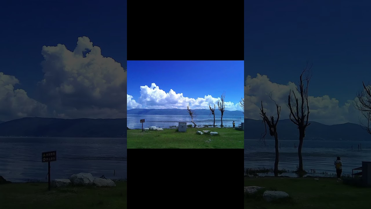 Yashica DigiMate Beige