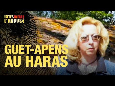 Faites entrer l'accusé : Guet-apens au haras
