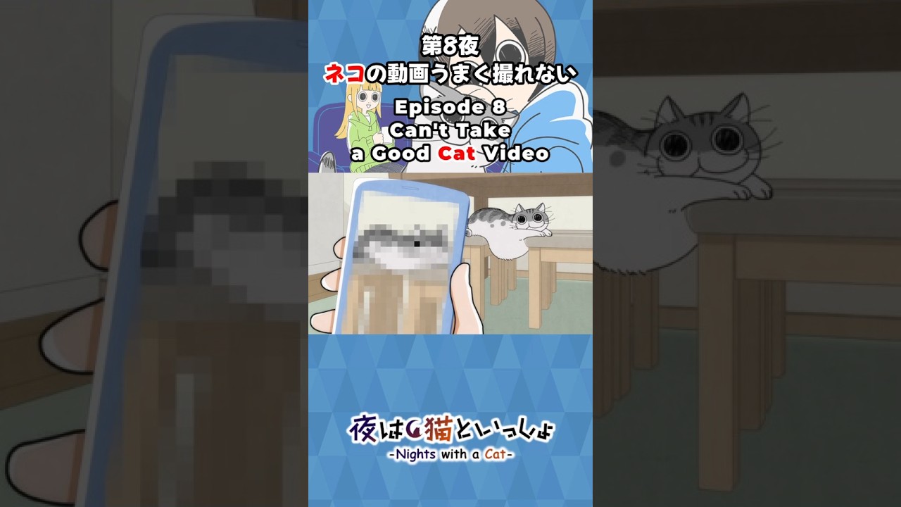 狙った通りに写真も動画も撮影できない猫 #夜は猫といっしょ #shorts