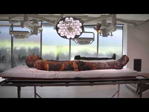 Bachelor of Archaeology at Macquarie University