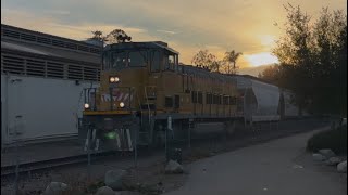 *RARE RUN* Sierra Northern cement hopper move 110 cars #railway #train #run