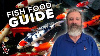 Feeding Your Koi: Everything You Need To Know
