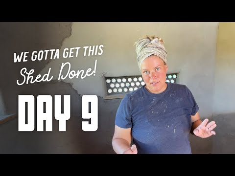 Get This Shed Done - Day 9 - Starting Office Final Plaster Coat, Airsoft Field
