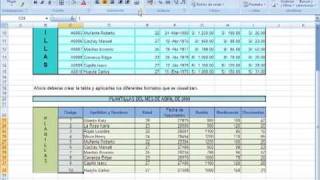 formatos de celda excel 2007 basico