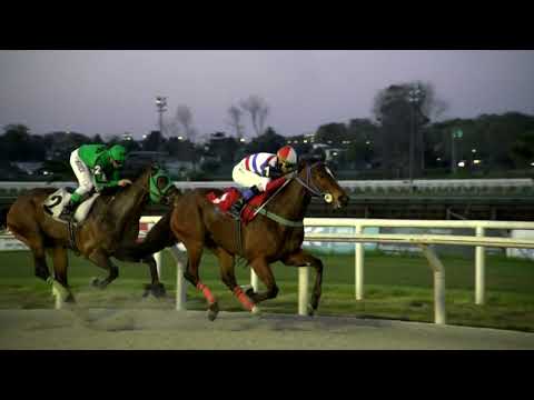 220923 c05 YOUR TREASURE (ARG)