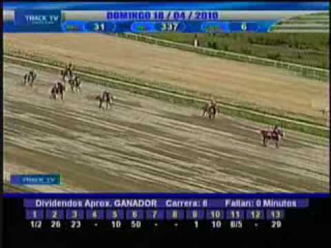 Resumen domingo 18 de abril 2010 - La Rinconada