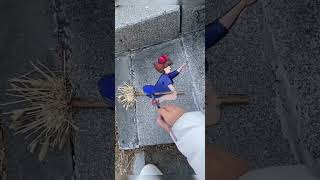 Download lagu It started as just dry grass on the street, the final result will leave you stunned #shorts #come... mp3 Download lagu It started as just dry grass on the street, the final result will leave you stunned #shorts #come... mp3