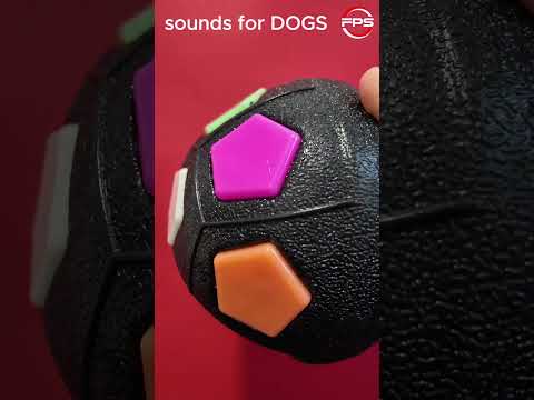 Do These Squeaky Sounds Make Your Dog Go Crazy! #shorts #squeakytoy