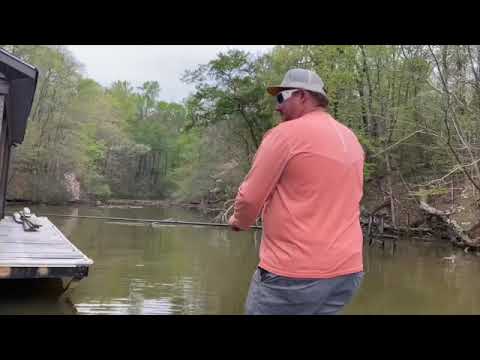 Bartletts Ferry May Bass With Adam Byrd