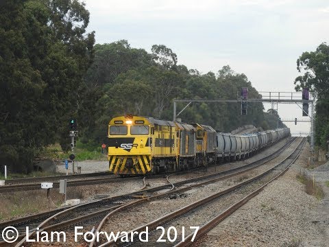 44204/442s1/4917/RL304 passing Thornton on run 8448 | Monday 31st Of July 2017