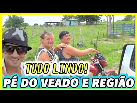 ZONA RURAL PÉ DO VEADO ITABAIANA SERGIPE REGIÃO RICA EM SÍTIOS (EPISÓDIO 02)