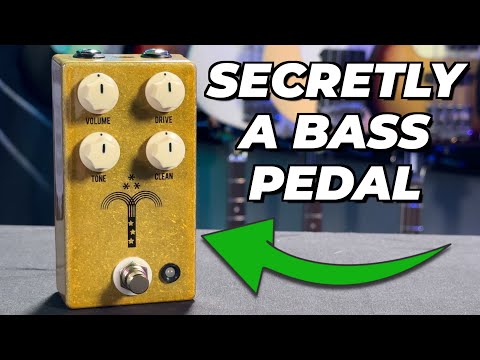 Morning Glory Clean by JHS | RockBoard | PedalPedia