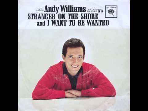 I Want To Be Wanted video
