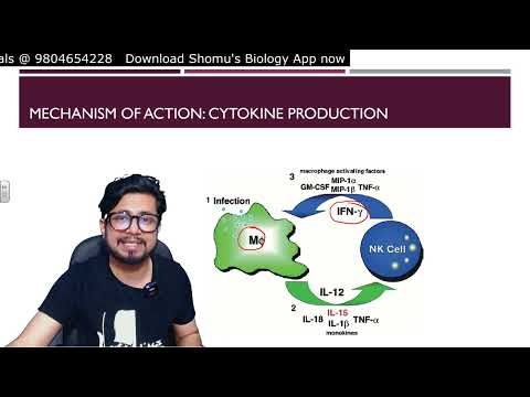 Inflammation animation Steps of inflammatory response Shomu s Biology