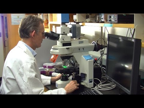 Cornell's Department of Microbiology and Immunology