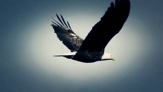 Tükenmedi Sevdan Yüreklerde Beşiktaş-117.Yıl Marşı  -Birol Can