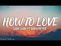 Cash Cash - How To Love  ft Sofia Reyes (Lyrics)