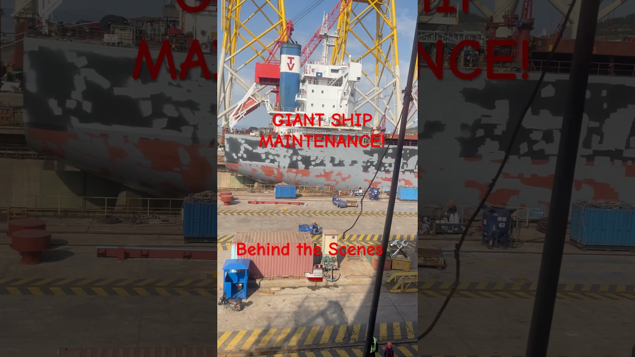 Massive Shipyard Maintenance: Behind the Scenes of a Giant Vessel 🛠️🚢