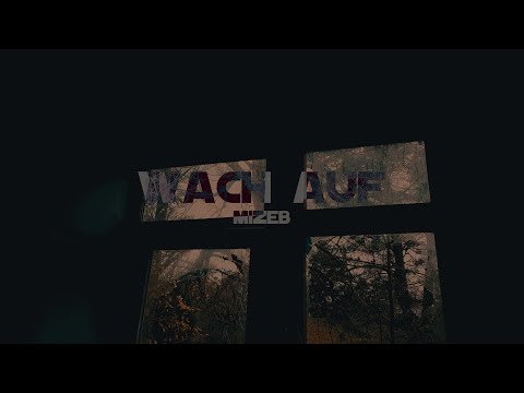MiZeb - WACH AUF (Official 4K Video) prod. by V.I.P.N