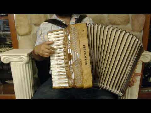 NEW Olive Ash Scandalli Tierra Piano Accordion LMMM 34 96 image 4