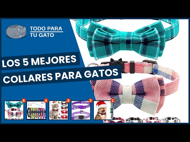 Vídeo relacionado con Navidad Collar Perro con 5 Campanas, Ajustable para Gatos Accesorios de Ropa de Perros de Navidad Regalos para Perros, Gatos, Cachorros y Gatitos (Rojo, Medium)