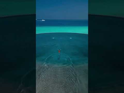 Hotel Video