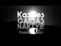 KasMes - Garsas Naktyje (Papuga Remix) 