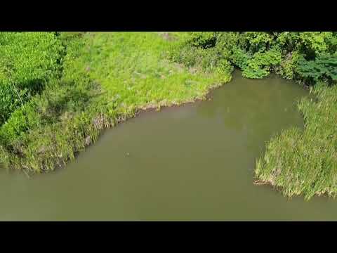 CHÁCARA DE 8,9 ALQU VALOR 3.200.000 PRÓX BELA VISTA DE GOIÁS  62981414270 ACEITA VEÍCULOS E IMÓVEIS 