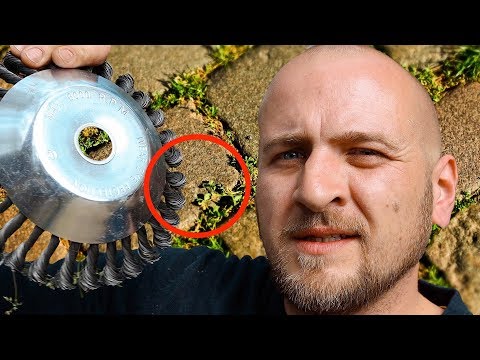 🔴Miracle cure for weeds and moss in the joints ⚠️