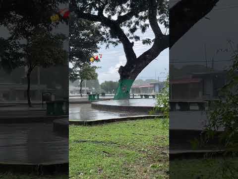 Plaza castor Vázquez, Camaguan Guárico 👌🤠 #shortvideo #guárico