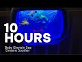 Baby Einstein Sea Dreams Crib Soother Newest Version Full Music Cycle 10 Hours